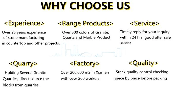 Why choose us